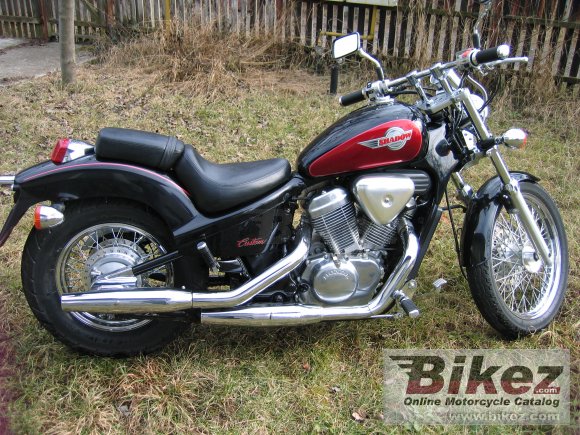 1995 Honda VT 600 C Shadow photo